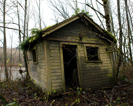 An abandoned building in the woods