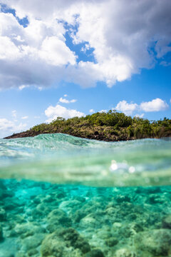 Reef in Bouillante at the Jacques Yves Cousteau Underwater Preserve, Basse Terre, Guadeloupe