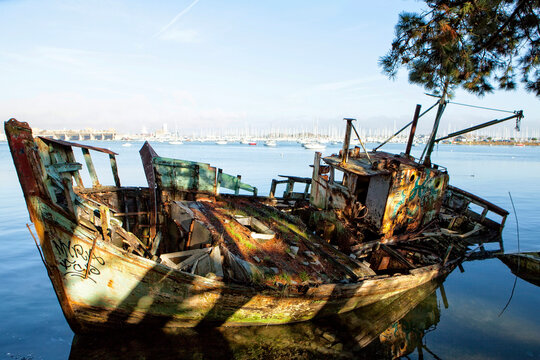 Boat wreck on coastline