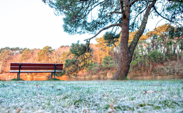 Frost on lawn and bench on shore of Lake Ter