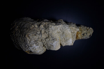 Fossil Stones from Millions of Years Ago