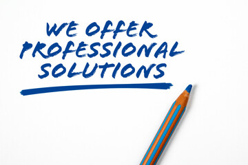 We offer professional solutions. Text and blue pencil on a white background