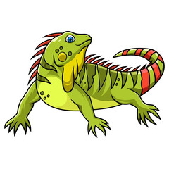 Cartoon iguana isolated on white background