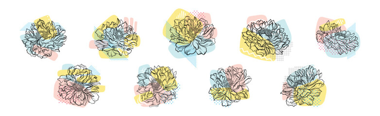 Beautiful Hand Drawn Stroke Flower Bud with Decorative Color Shapes Vector Set
