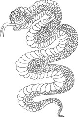 colorful Snakes and flowers. Tattoo design. Hand drawn snake vector illustration.Traditional Japanese culture for printing and coloring book on background.