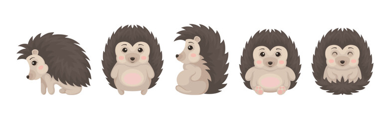 Cute Grey Hedgehog in Various Poses Vector Set