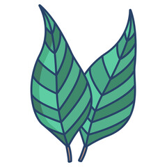 Obraz premium Eucaliptus Leaf icon