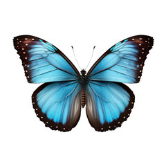 Fototapeta na wymiar Papillon morpho blue iridescent d’Amérique du sud Amazonie, détouré, fond transparent