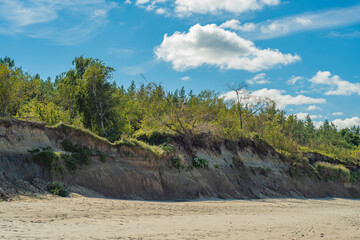 Partially collapsed slope with trees and bushes on a sandy shore. Background on the theme of...