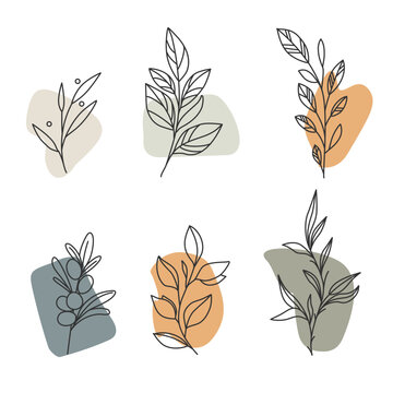 Aesthetic plant elements, leaves and branches. Template