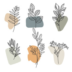 Aesthetic plant elements, leaves and branches. Template