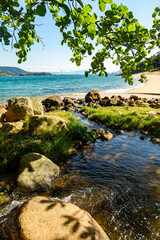 Natural pool shaded by trees, on a deserted beach surrounded by nature in Ilhabela