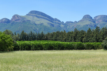 Field with view at the mountains of Blyde river canyon, South Africa