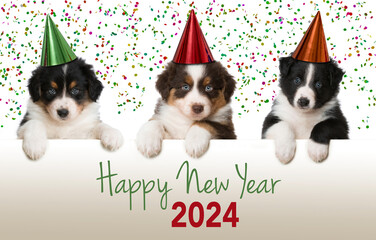 Happy New Year Puppies looks over a wall - 575890250