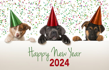 Happy New Year Puppies looks over a wall - 575890492