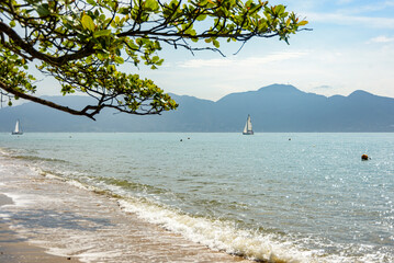 Tranquil view from a sailboat at sea on a cloudy day in Ilhabela surrounded by mountains in the background and branches of trees in the foreground. São Paulo