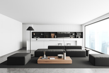 Front view on bright studio room interior with island, sofa