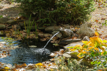 Evergreen spring landscape garden. Beautiful small garden pond with frog-shaped fountain and stone banks. Close-up. Selective focus. Nature concept for design