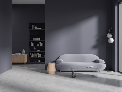 Grey living room with sofa and bookcase