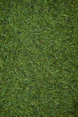 Top view of artificial green grass texture. Fake Grass used on sports fields for soccer, baseball,...