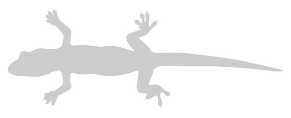House Lizard also called House Gecko or Gekkonidae Silhouette for Art Illustration, Logo, Pictogram or Graphic Design Element. Format PNG