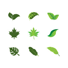 Logos of green leaf