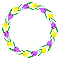 Fototapeta na wymiar Round frame wreath of purple and yellow crocuses. Botanical frame of primroses. Spring template design for a greeting card for Women's Day or Mother's Day, invitation card, wedding invitation