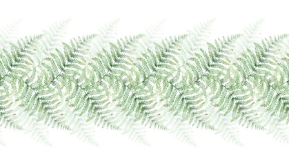 Floral seamless border with green fern leaves. © Lora