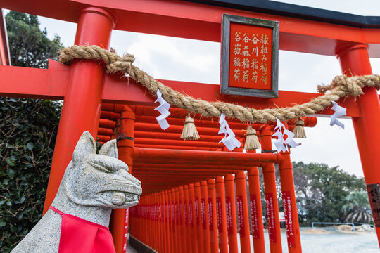 千本鳥居」の写真素材 | 2,735件の無料イラスト画像 | Adobe Stock