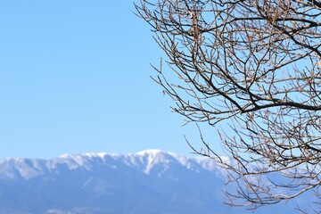 琵琶湖畔から眺める比叡山