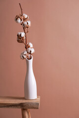 several branches with white cotton plant in white vase - autumn decoration on beige colored background,close up, negative space