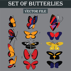 Set of beautiful and colorful butterflies