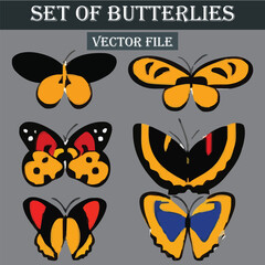 Set of beautiful and colorful butterflies