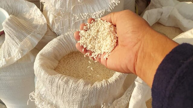 Rice Grains Falling From Hand