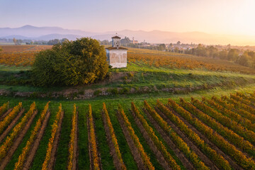Fototapeta na wymiar Autumn season in Franciacorta vineyards, Brescia province in Lombardy district, Italy.