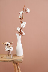 several branches with white cotton plant in white vase - autumn decoration on beige colored background,close up, negative space