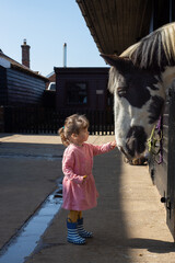 Little child connecting with a horse