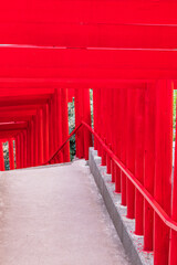 日本　山口県長門市にある元乃隅神社の鳥居のトンネル