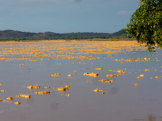 Clusters of chemical pollution after heavy rain on the Bekopaka River, Madagascar