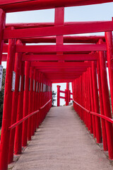 日本　山口県長門市にある元乃隅神社の鳥居のトンネル