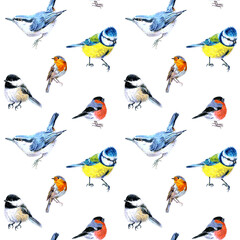 Seamless pattern of birds drawn with markers. Tits, nuthatch, bullfinch, robin and chickadees. On a white background. For fabric, sketchbook, wallpaper, wrapping paper.