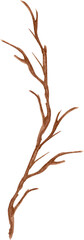 Watercolor exotic dry twig with gold textures. Hand painted boho leaves isolated on white background.