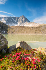 Mount Adamello in Adamello park, Brescia province in Lombardy district, Italy.