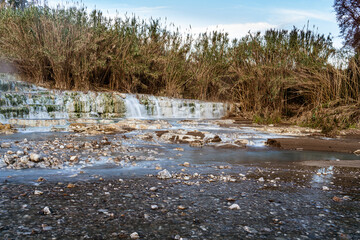 river in the forest