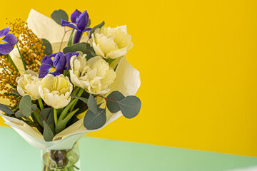 Spring bouquet of flowers. Irises, tulips, mimosa and eucalyptus. Yellow and blue flower. Bud close-up. Floral background. Purple iris, white double tulip. Gift. March mood. Copy space.