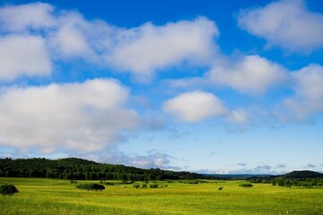 Bashang grassland in Inner Mongolia