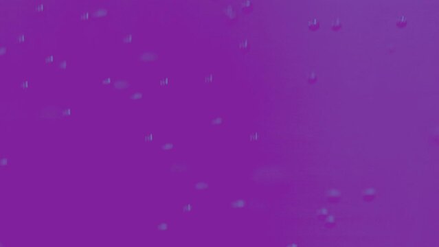 Abstract background and fizzy bubbles swirl in colored water. Fluid, liquid in viscous purple background create swirls. Different fluids mix together with bubbles. Background for a sparkling liquid