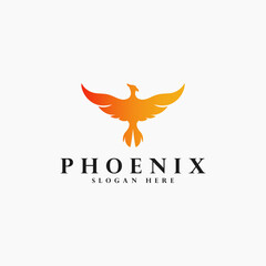 Obraz premium gradient phoenix logo vector design template ; creative falcon logo design vector concept with colorful, modern and premium styles isolated on white background