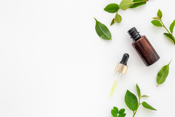 Tea tree essential oil in dropper bottle. Herbs cosmetic background - obrazy, fototapety, plakaty