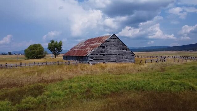 Drone footage over a rustic vintage abandoned barn in a field in the summertime.
